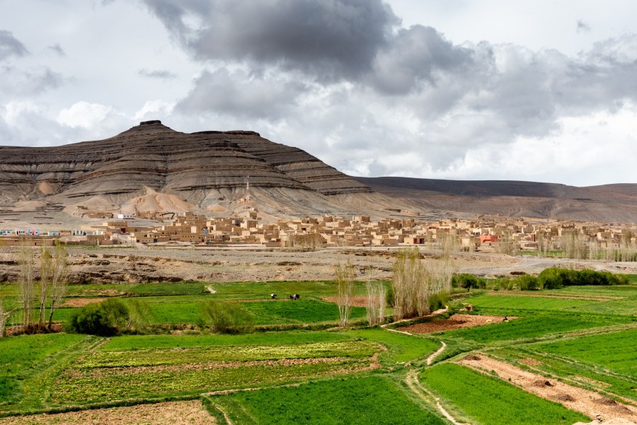 Quelle est la place de l'agriculture au Maroc ?