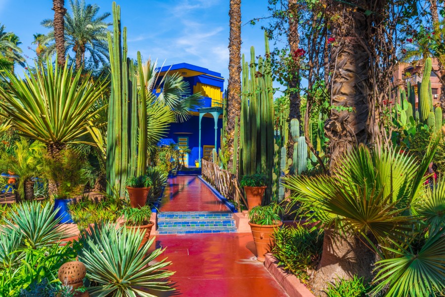 Comment le jardin Majorelle est-il devenu un lieu emblématique de Marrakech ?