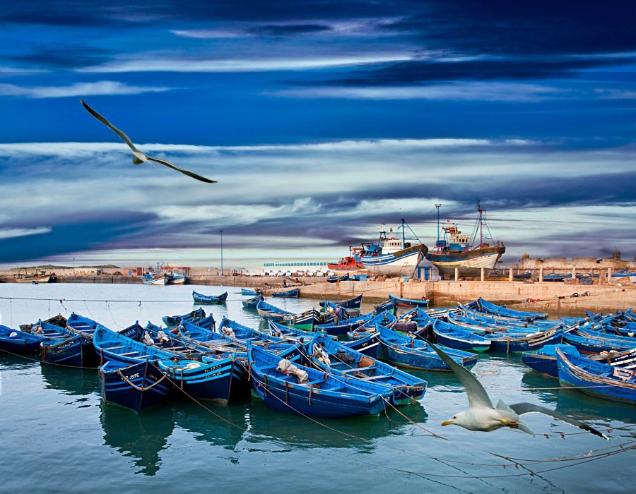 Pourquoi Essaouira au Maroc est-elle une destination incontournable ?