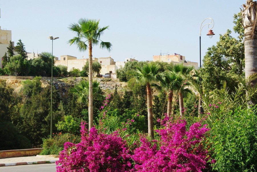 Quel est le climat de Taza au Maroc ?