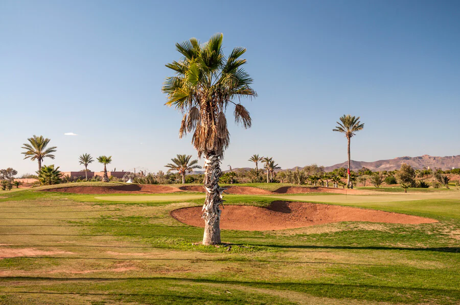 Quels sont les meilleurs parcours de golf à Marrakech ?